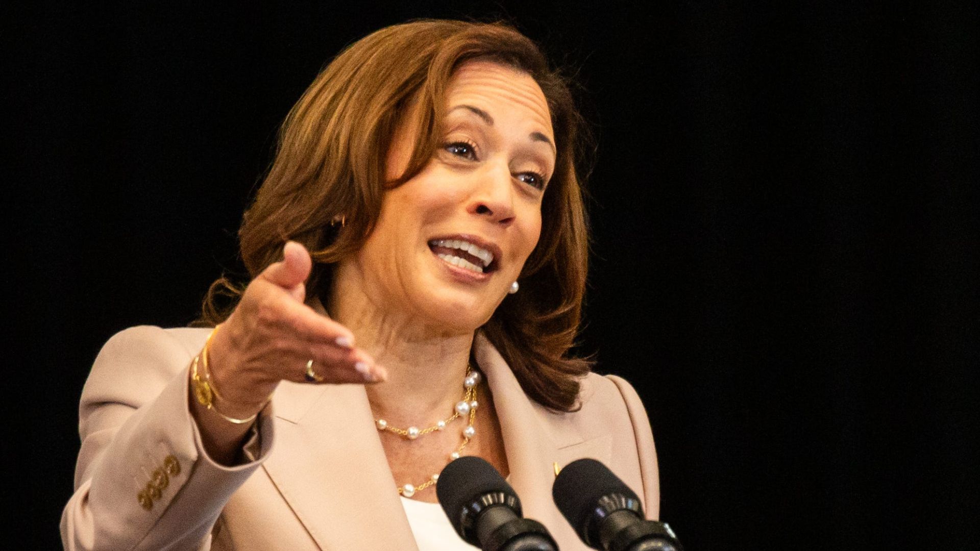 Kamala Harris Pledges To Build Less Homes Per Year Than Her Administration Currently Is