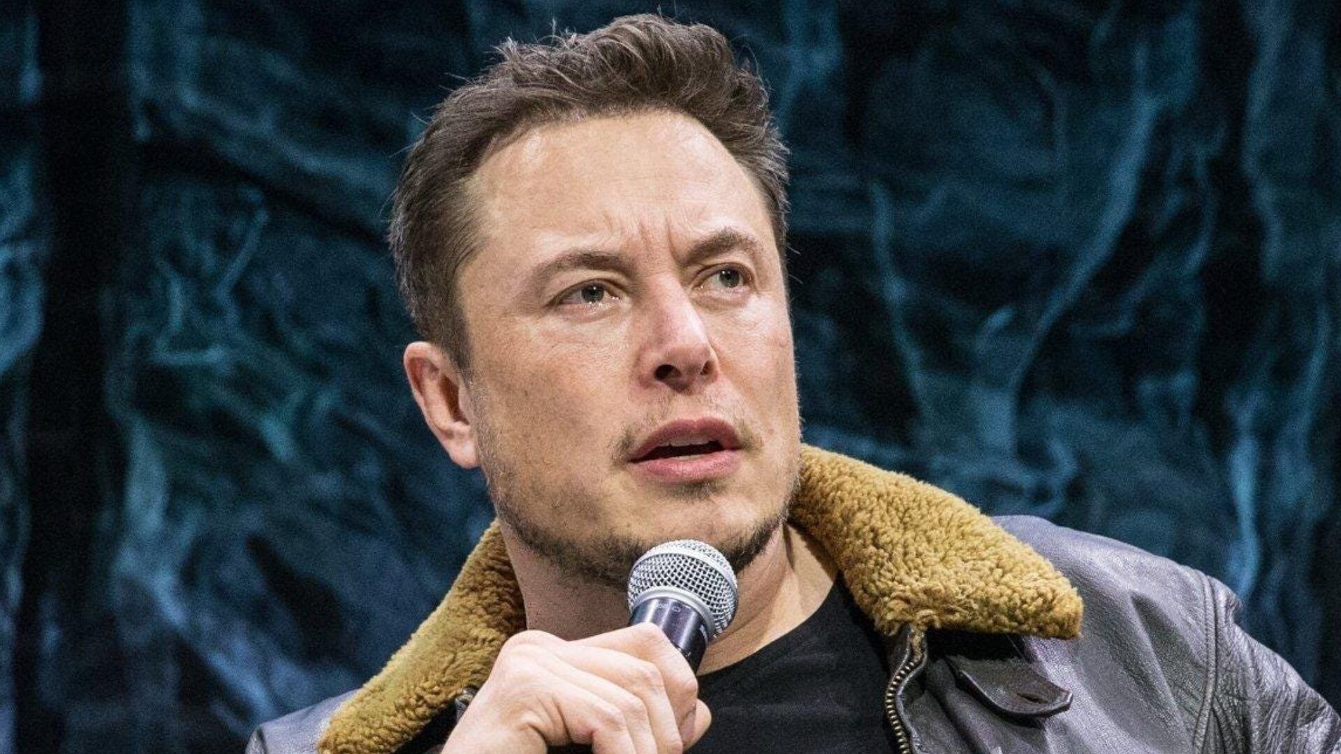 Musk Highlights Harris’s Strategy and Its Effects on Red States