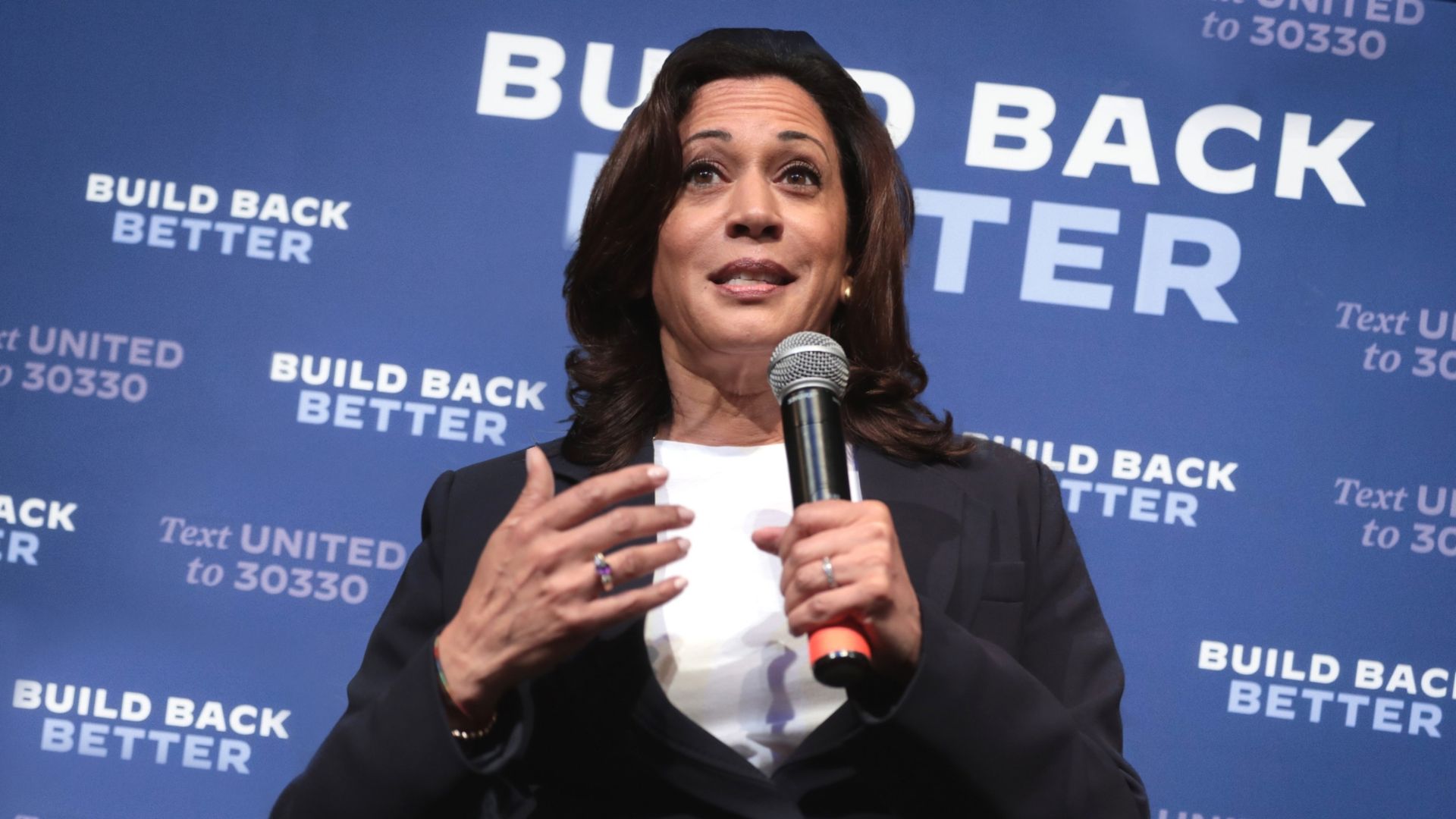 Data Expert Sheds Light On The Scale Of Harris Campaign “Bussing” Supporters To Rallies