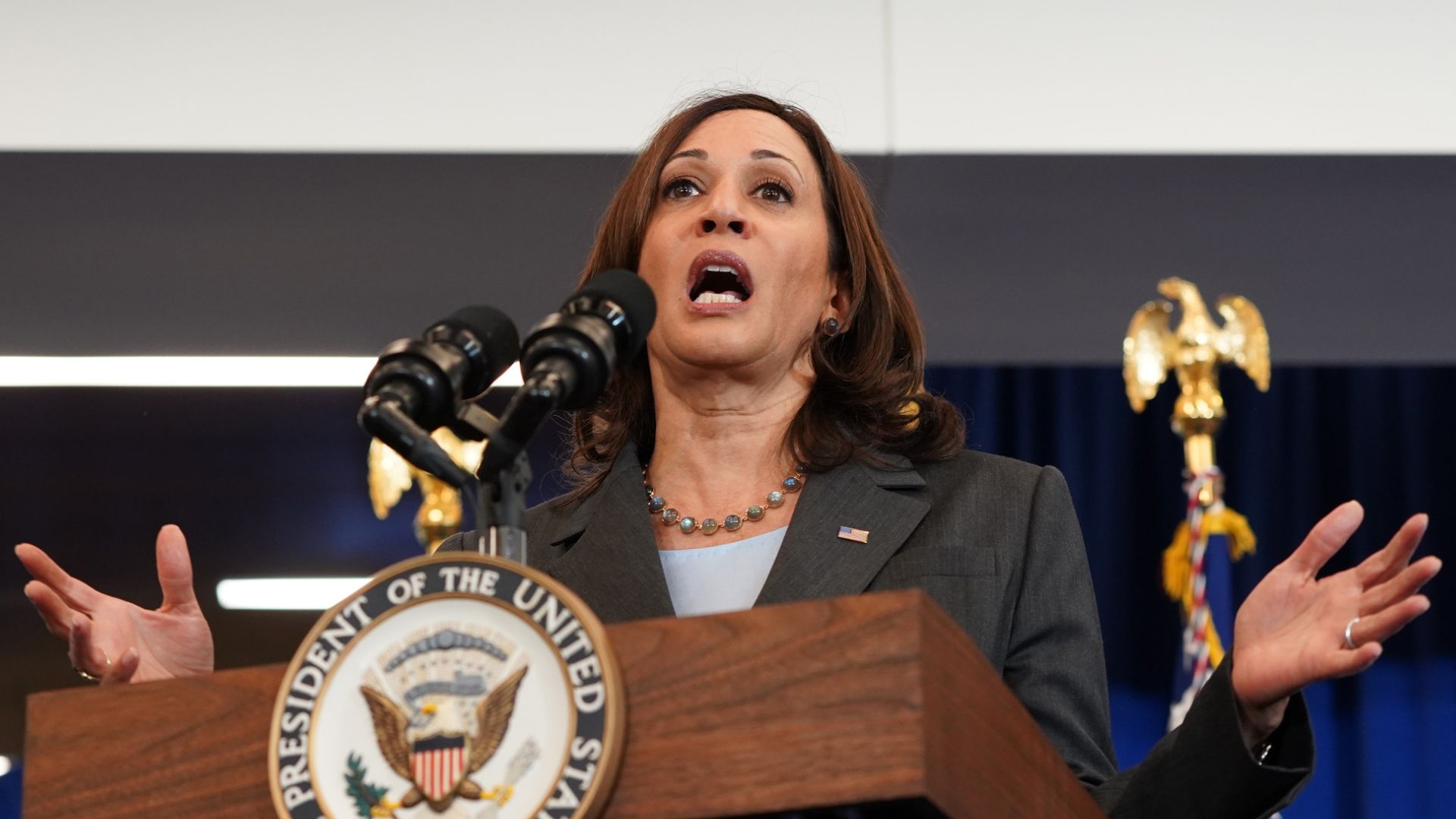 LEAKED: Dem Shares Fears About Kamala’s Internal Polling In Can’t-Lose Swing State [WATCH]