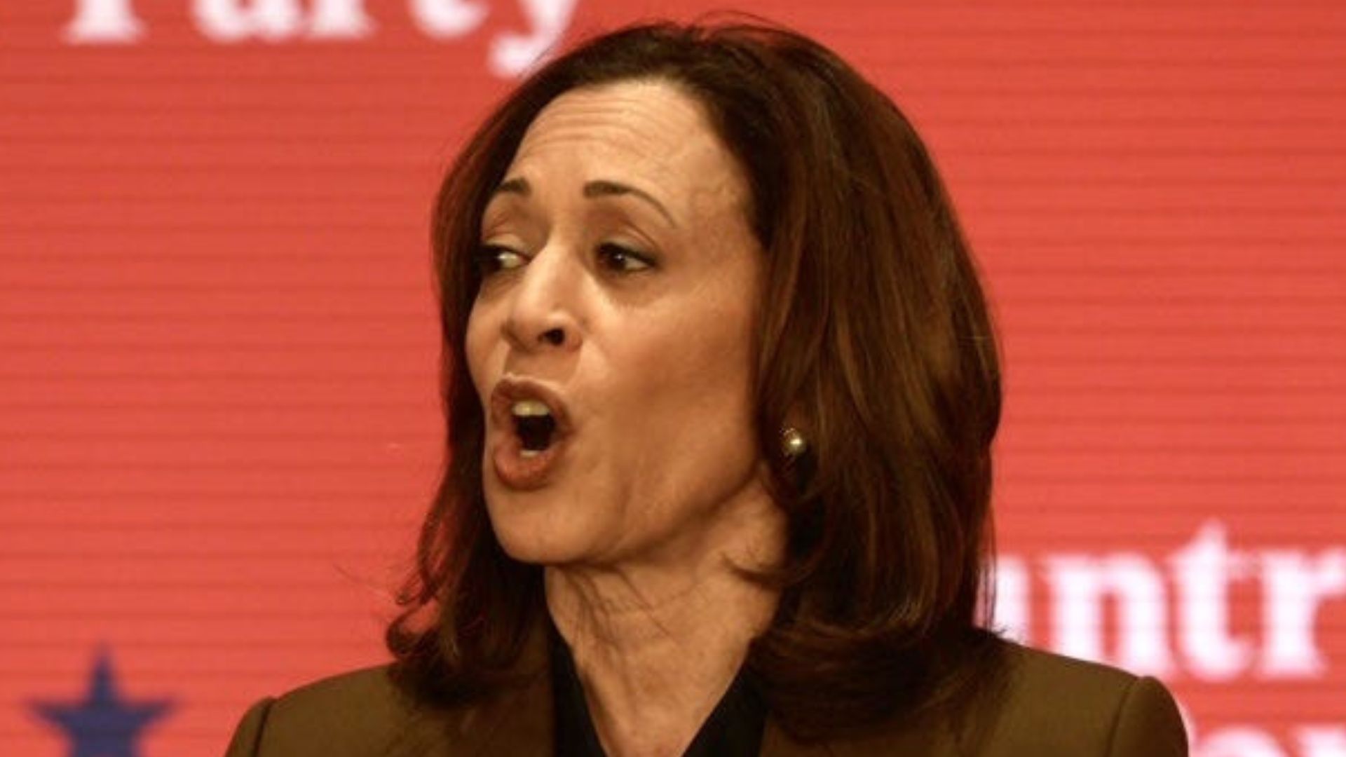 Kamala Caught On Hot Mic While Drinking In A Bar With Gretchen Whitmer [WATCH]