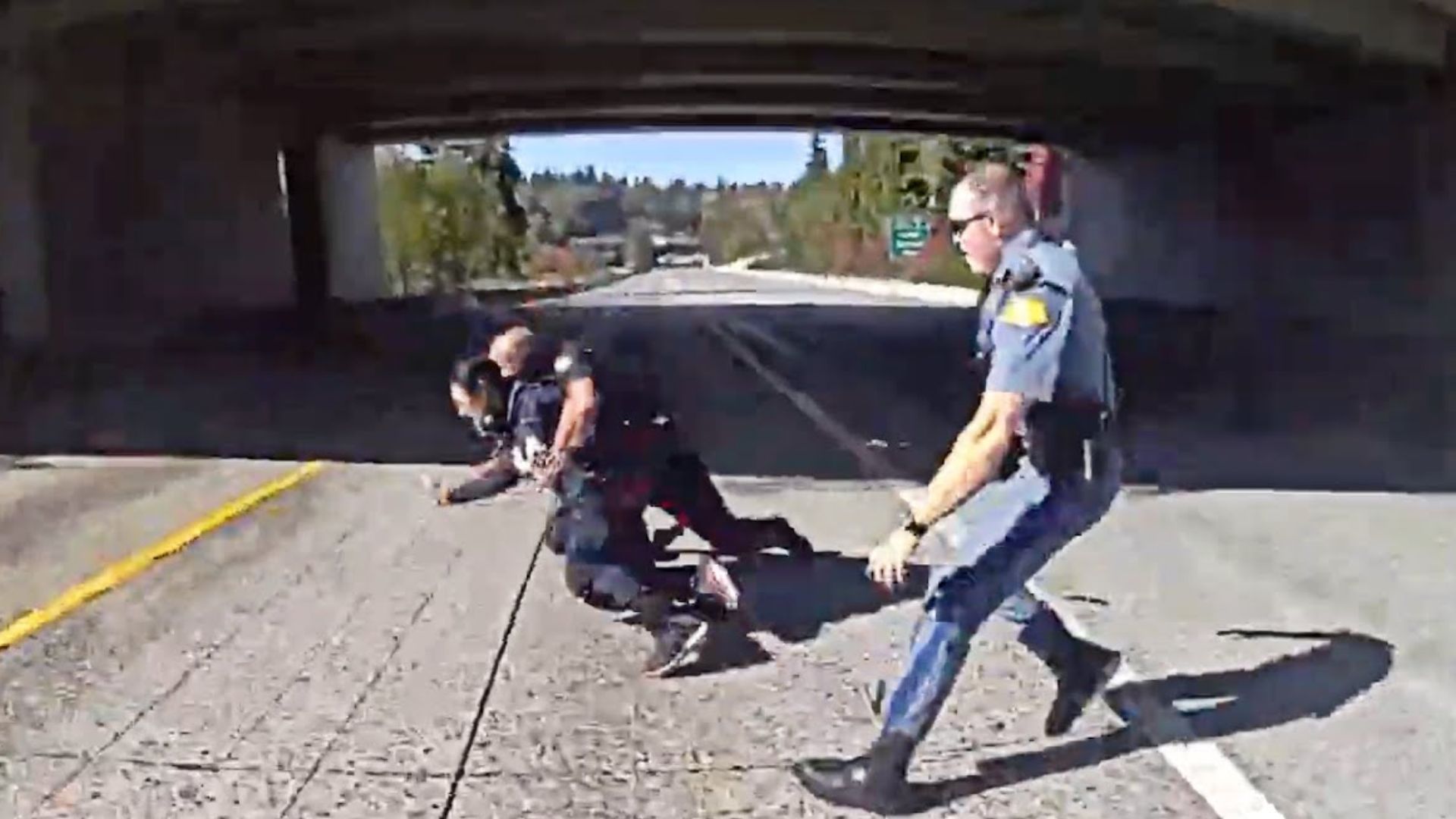 Suspect Tries To Throw A Homemade Bomb At Police Before Being Taken Down In Washington [WATCH]