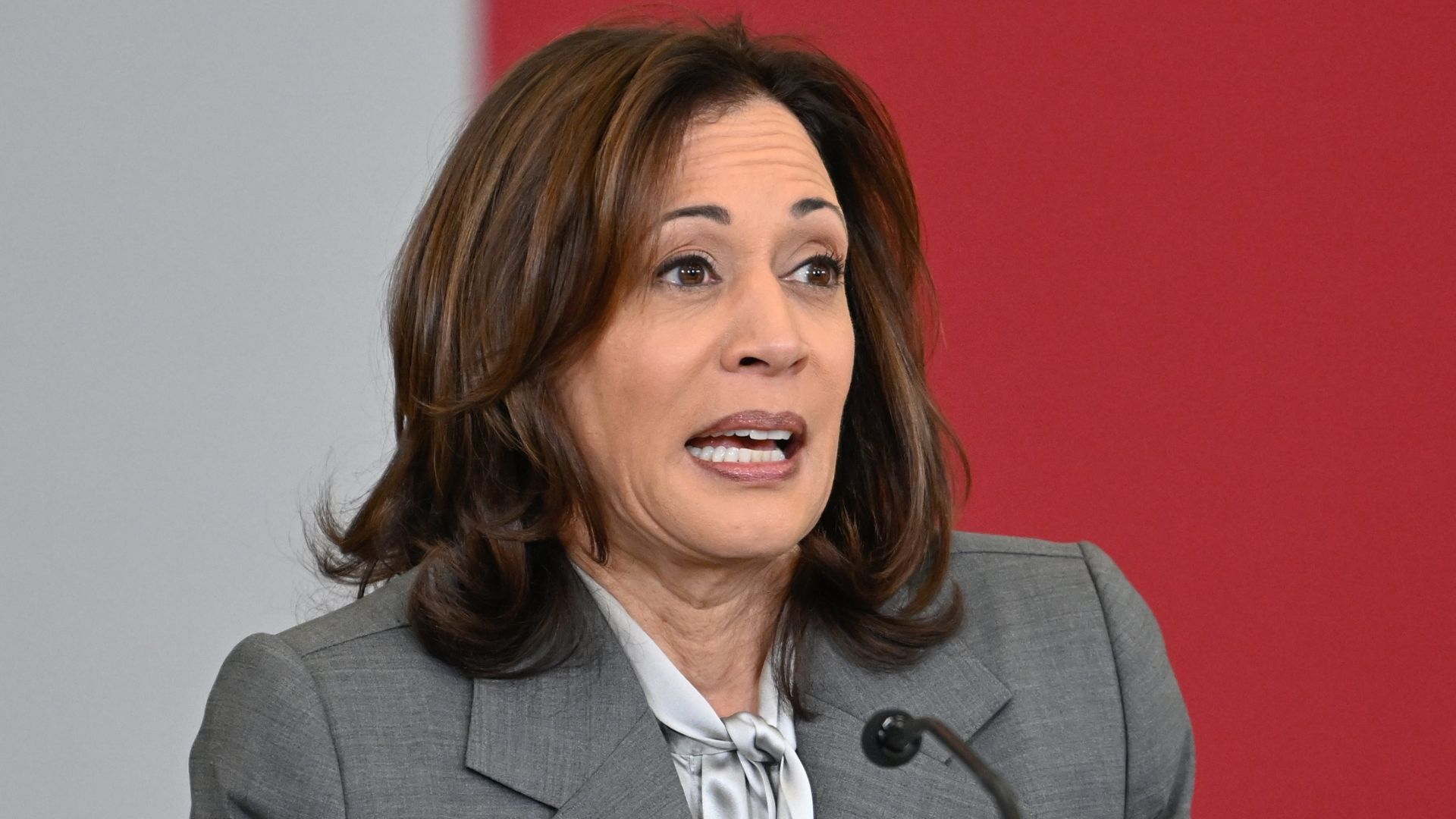 Kamala Harris In More Hot Water—Shocking New Plagiarism Accusations