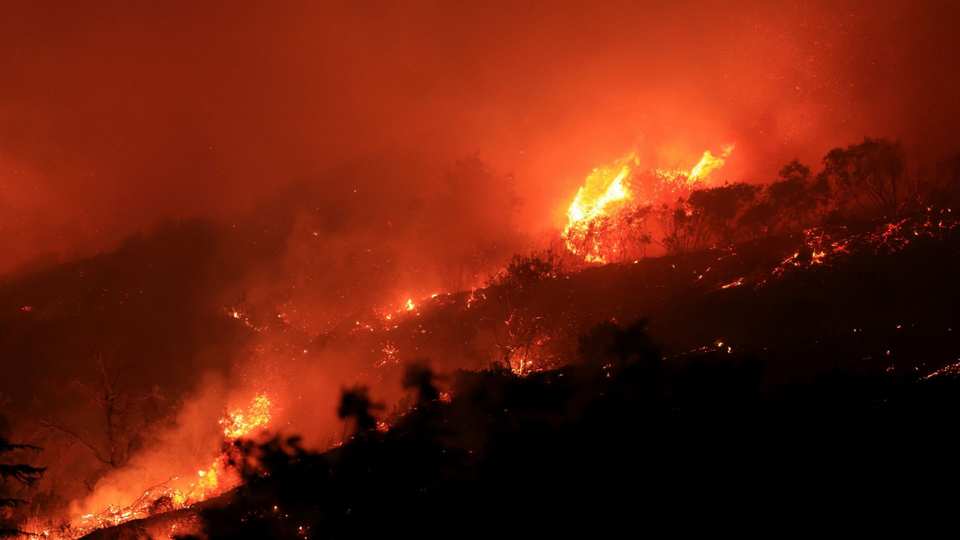 30,000 Residents Evacuated, Over 10,000 Acres Devastated [WATCH]