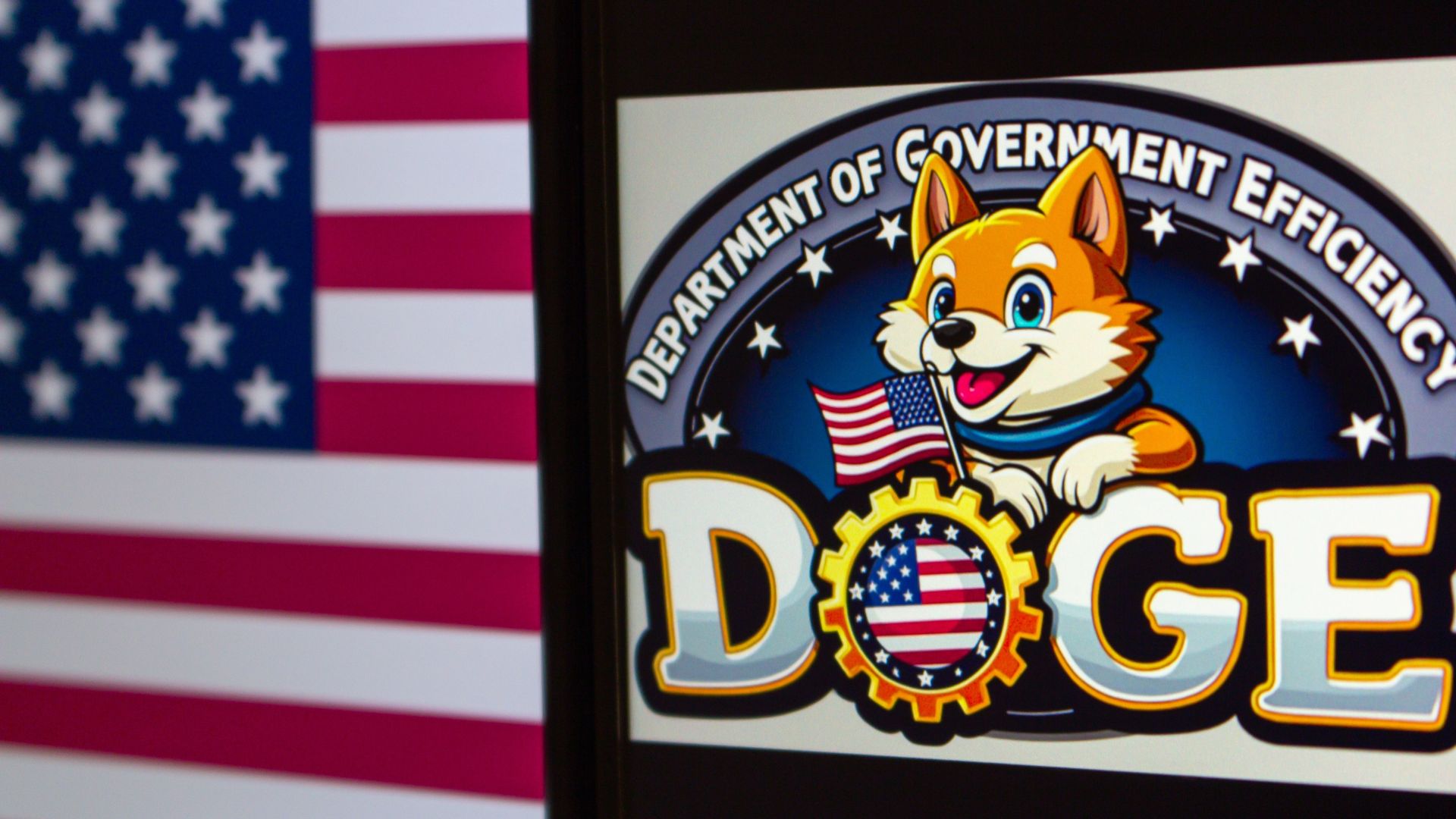 DOGE Secures Huge Legal Win from Federal Judges Regarding Treasury Access [WATCH]